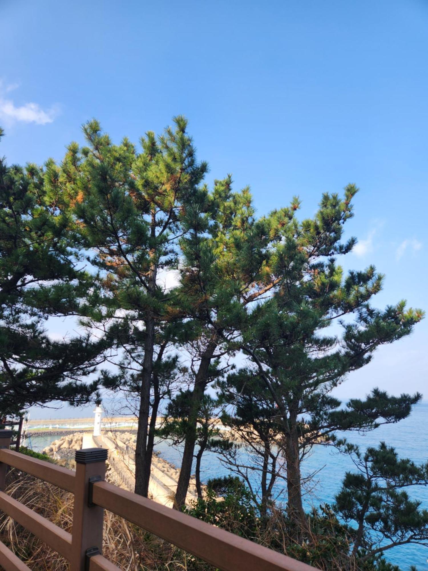 Bada Village Minbak Jeju Extérieur photo